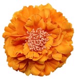 Stor Hårblomst/stofblomst - Brochepin - orange
